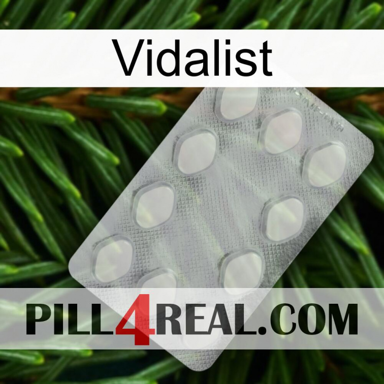 Vidalist 16